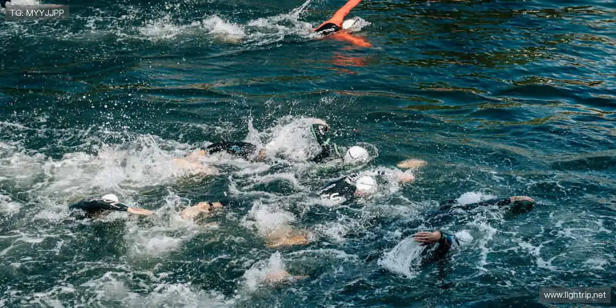 📺 随时随地，想看就看，体育直播让精彩永不掉线！